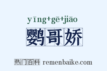 鹦哥娇是什么意思的图片